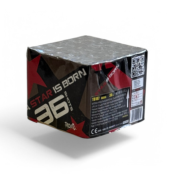 EIN STERN WIRD GEBOREN 36 AUFNAHMEN 20MM TB187