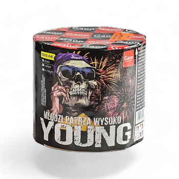 YOUNG 13 SCHUSS 25MM SS13-04I