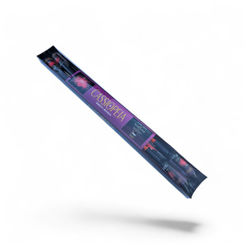 CASSIOPEIA 4 RAKETEN N3501