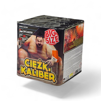 SCHWERES KALIBER 25 SCHUSS 48MM SFC16259