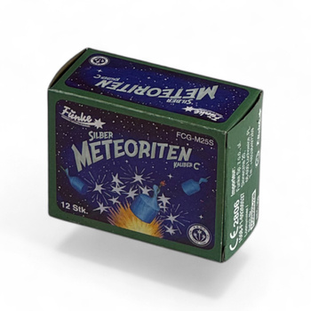 SILBER METEORITEN KALIBER C 12 STÜCK